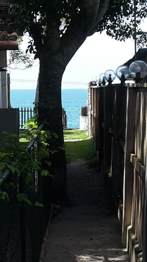 Bed & Breakfast T.T Río Hato エクステリア 写真